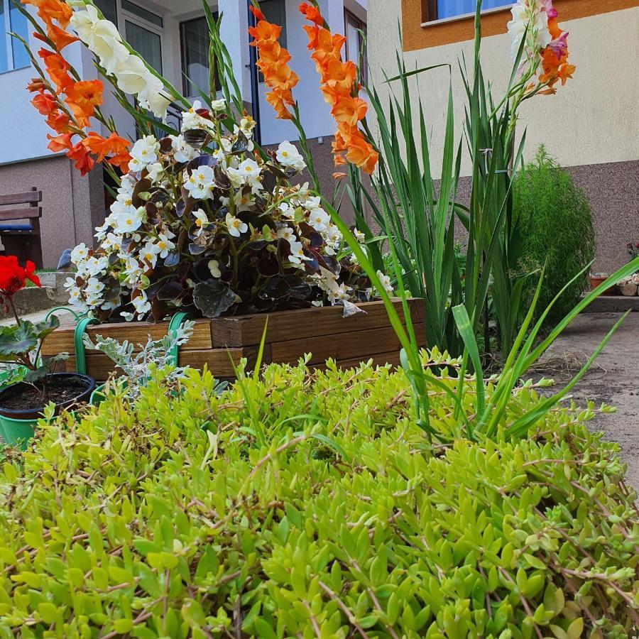 Ferienwohnung Casa Sofia Baltatesti Exterior foto